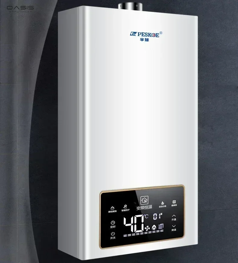 Gas Water Heater: Domestic Natural Gas. Electric Thermostat. Strong Exhaust. Liquefied Petroleum Gas Balance Type.