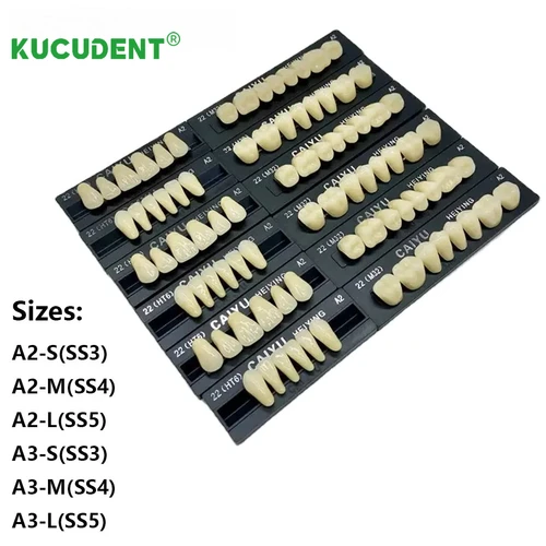 Imagen 2 del producto 84 unids/caja Dental acrílico resina sintética dentadura postiza superior Anterior inferior Posterior A2 A3 modelo de diente falso boca completa