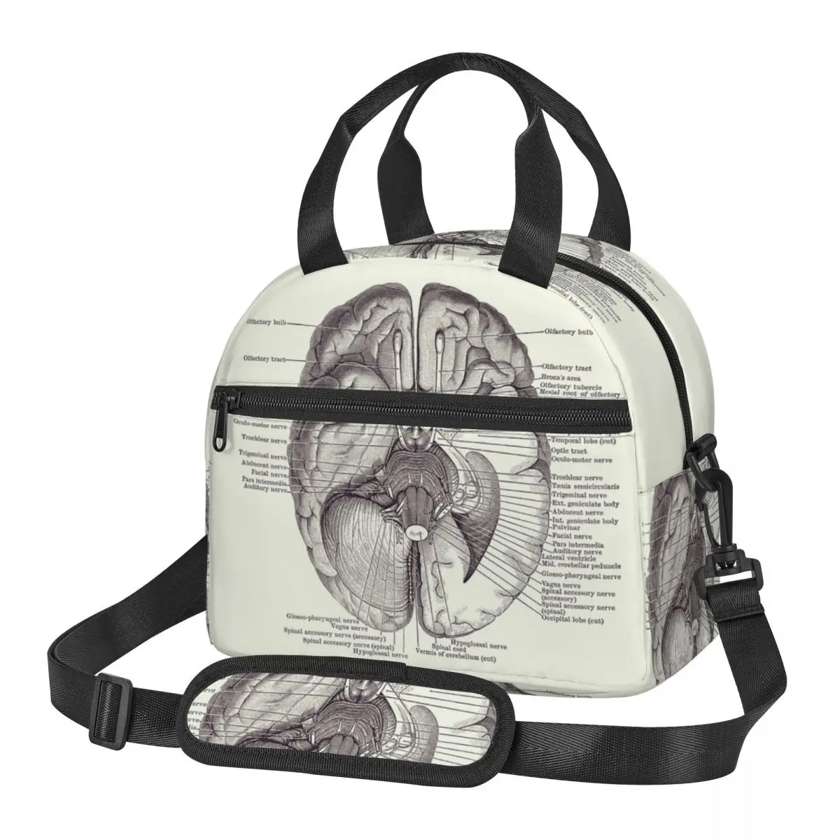 Brain Nervous System Diagram Vintage Anatomy Lunch Bags Insulated Bento Box Lunch Tote Picnic Bags Cooler Bag for Woman Student