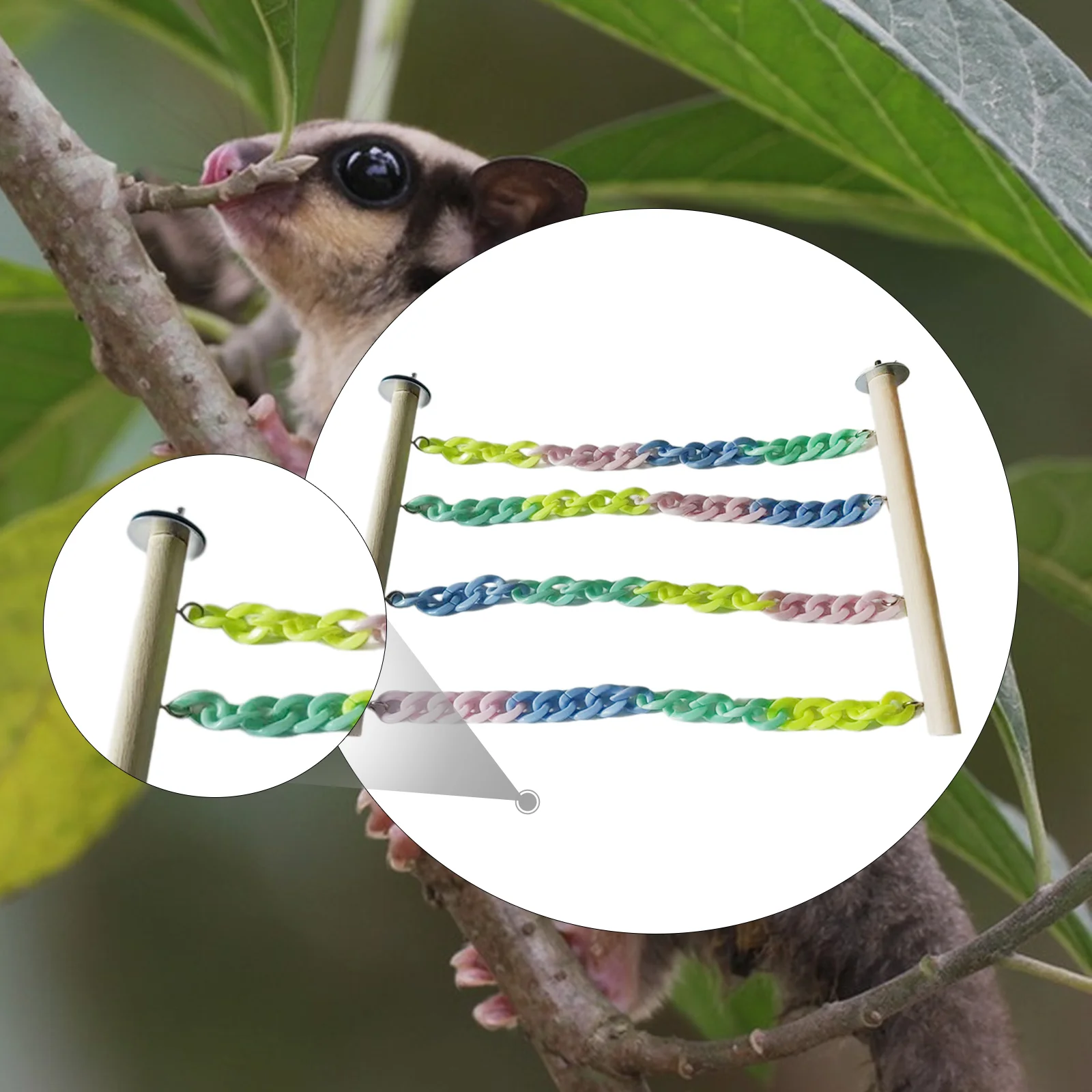 Multicolor Climbing Ropes Hanging Swing Wooden Small Animal Toy for Sugar Glider Supplies Cage Enrichment