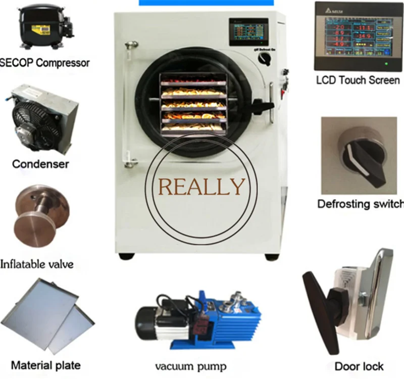 2 kg/batch Elektrische Thuisgebruik Vacuüm Voedsel Fruit Vlees Vriesdroger Mini Groente Gevriesdroogde Machine 4 bakjes Lyofilisator