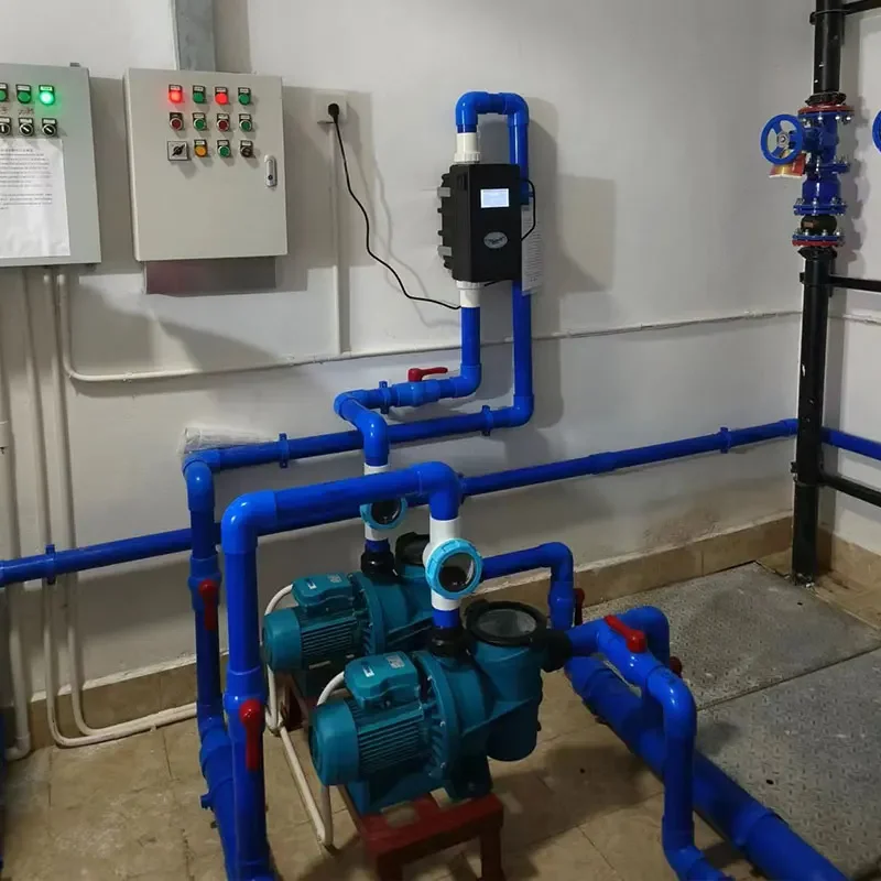 Swimming Pool Copper Silver Ion Non-chlorinated Disinfection Algae Removal Equipment