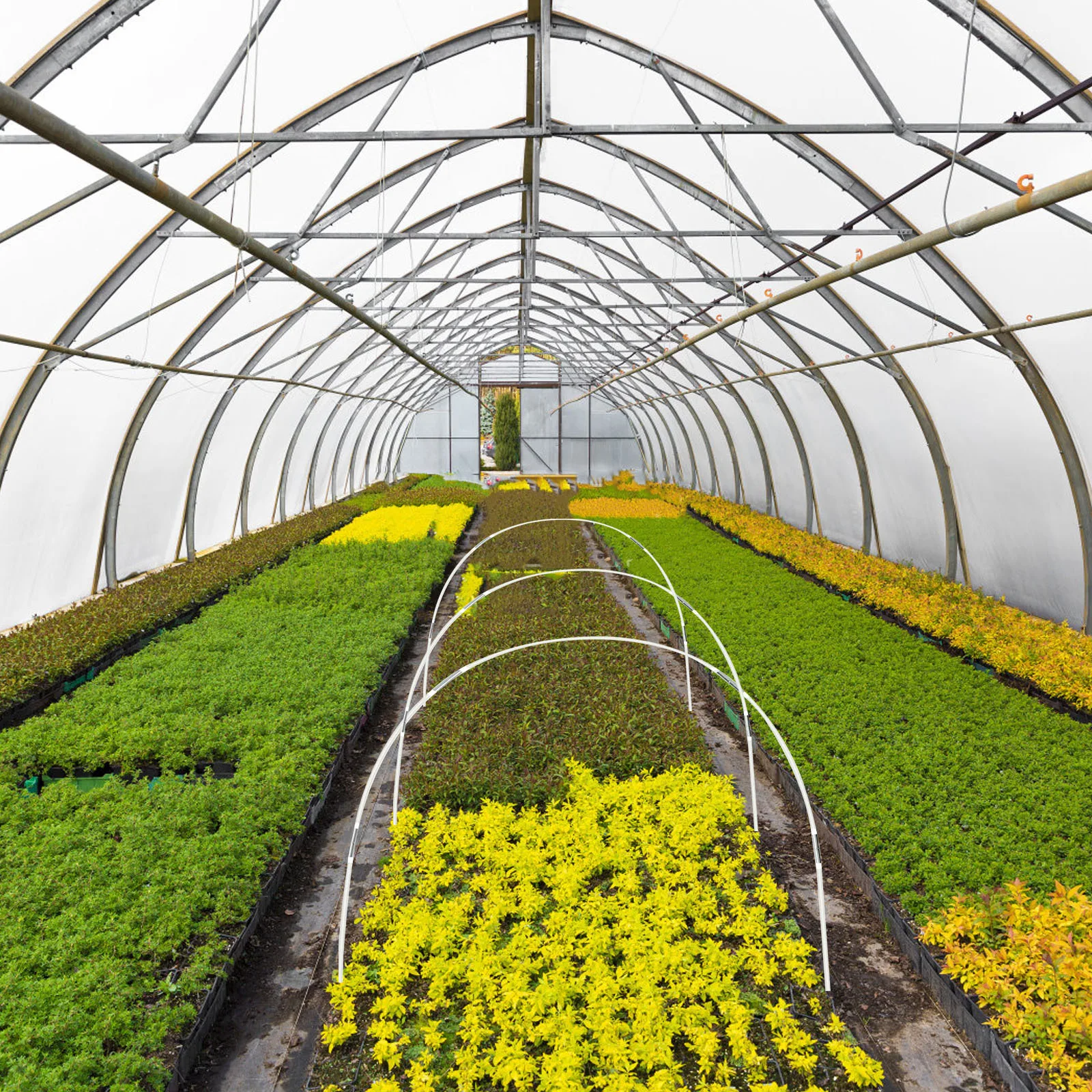 식물 지지대 세트, 내구성 있는 온실용 터널형 식물 보호대, 서리, 태양, 새로부터 식물을 보호하는 정원 아치 프레임