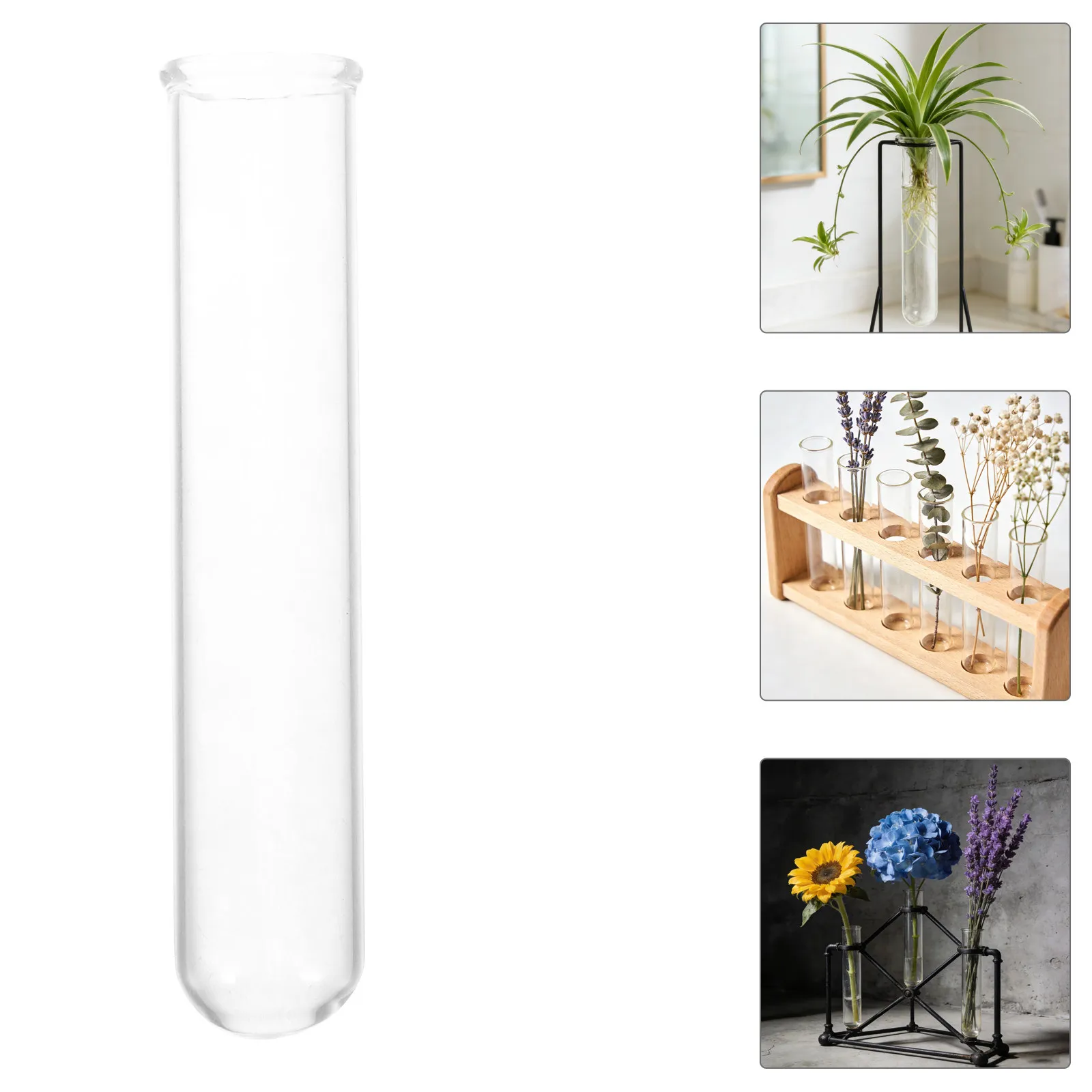 6Pcs 15Ml Glass Test Tube Vases for Plant Propagation Hydroponic Plants Indoor Decor Transparent Mini Planter Tubes Desktop