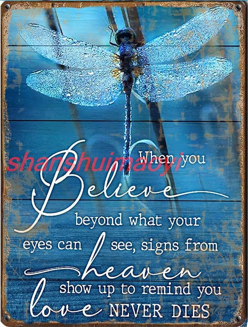 Licpact Metal Tin Sign Dragonfly When You Believe Beyond What Your Eyes Can See Tin Sign Wall Art Farmhouse Sign Decor Birthday