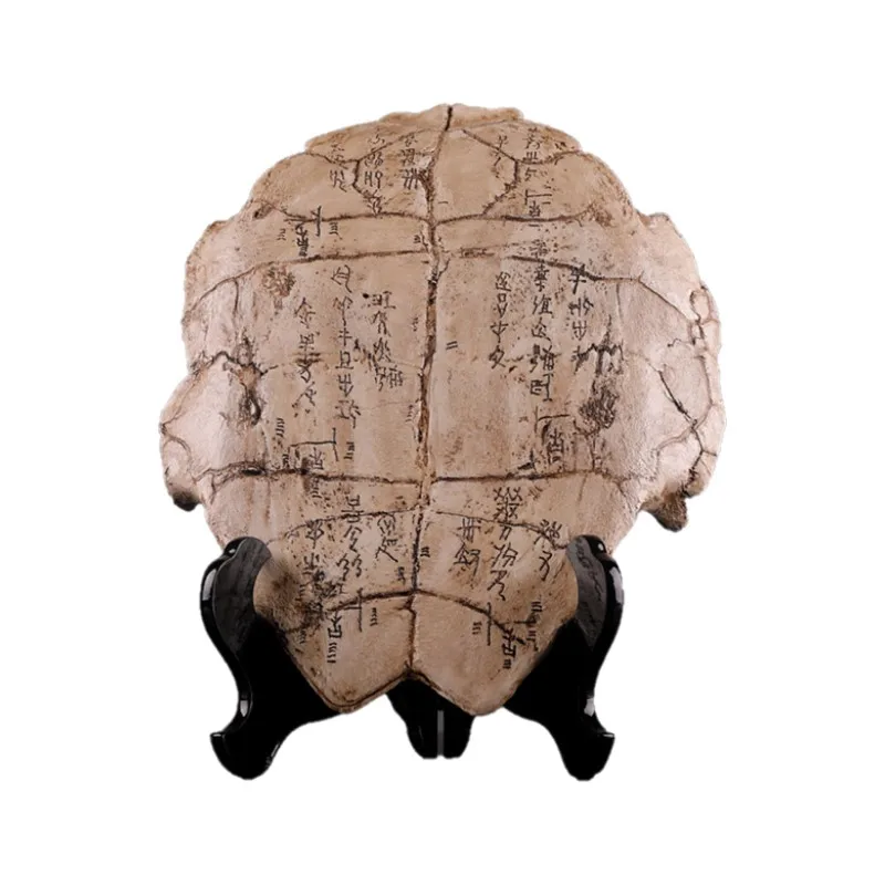 

Turtle shell ornament, B & B oracle resin decoration, prop decoration