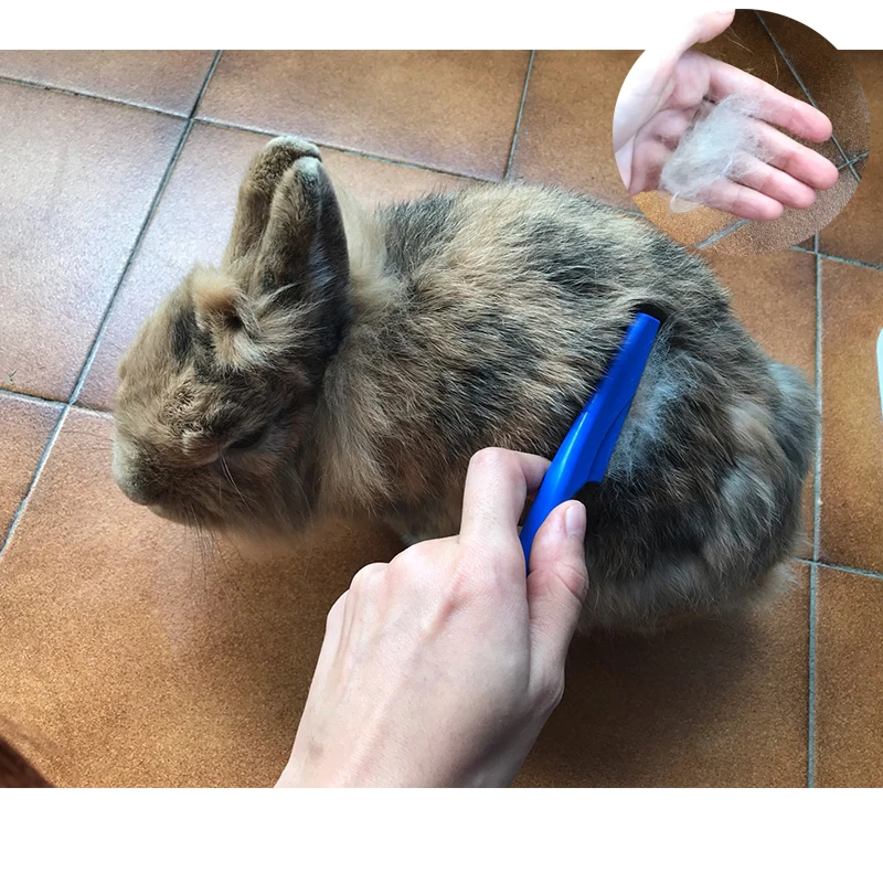 Cepillo de aseo de conejo para mascotas, removedor de pelo, peine de pulgas, champú, cepillo de baño para hámster, conejillo de indias, conejo,