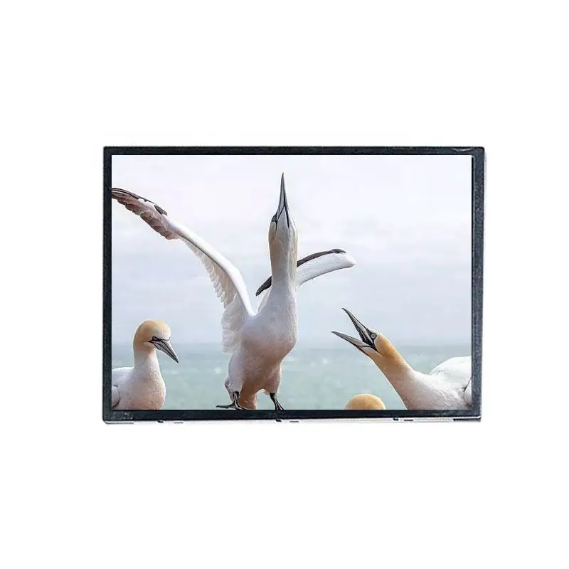 A070VTN06.1 7.0 Inch LCD Display 800*480 Resolution Lcd Panel With RGB And FPC Interface For Industrial