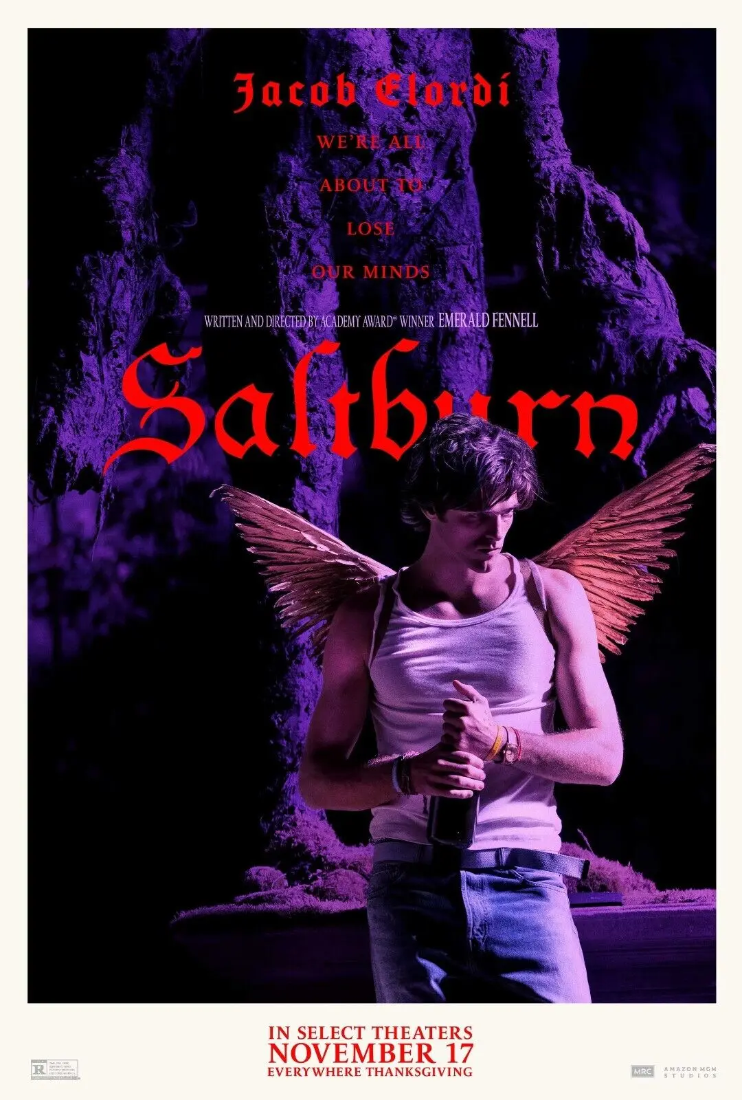 Saltburn Movie Art Picture Print Silk Poster Home Wall Decor