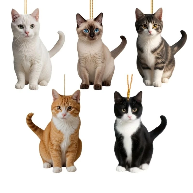 

Black Cats зеркал зеркальный зеркальный подвес