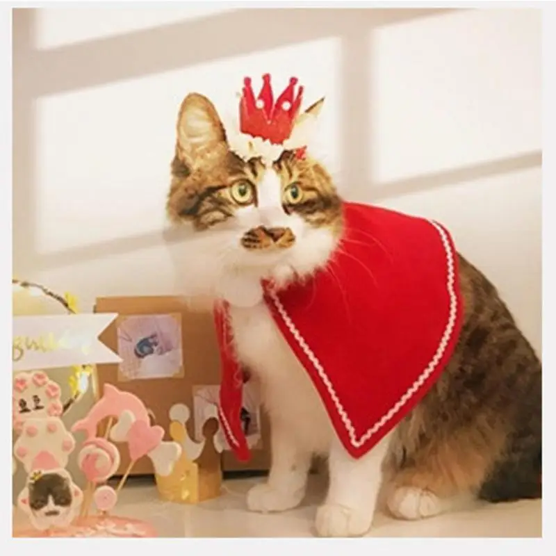 Costume da babbo natale per animali domestici 6 pezzi vestito da babbo natale per gatti festa di natale vestito da gatto carino morbido e