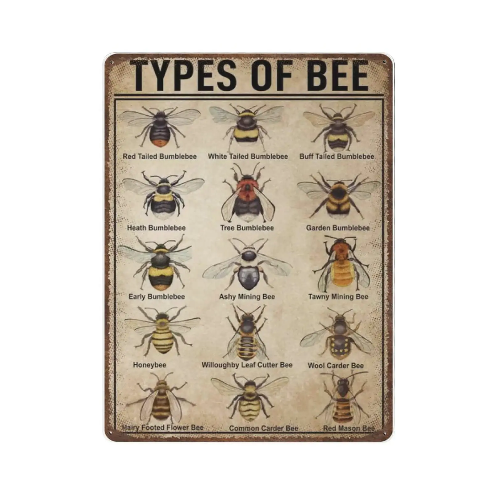 Retro Thick Metal Tin Sign-Types of Bee, Bee Knowledge -Novelty Posters，Home Decor Wall Art，Funny Signs for Home/Kitchen/Garage
