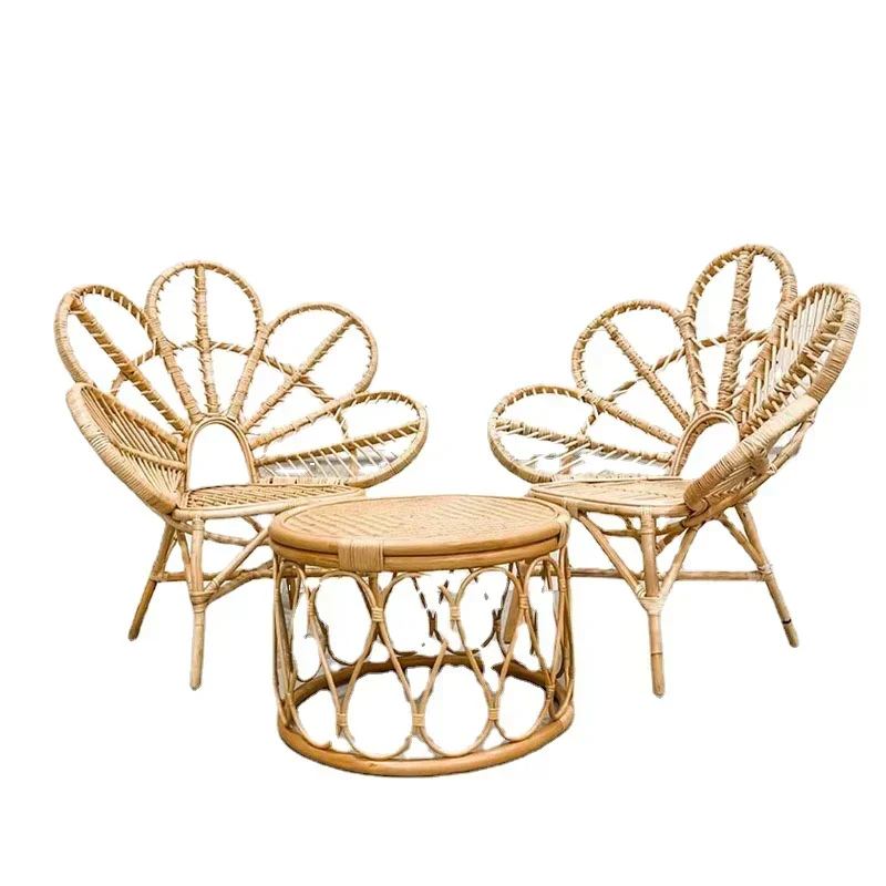 ~L Luxury Chairs for Living Room Peacock Armchair Design Rattan Nordic Modern Comfortable Mobile Elegant Furniture Decoration