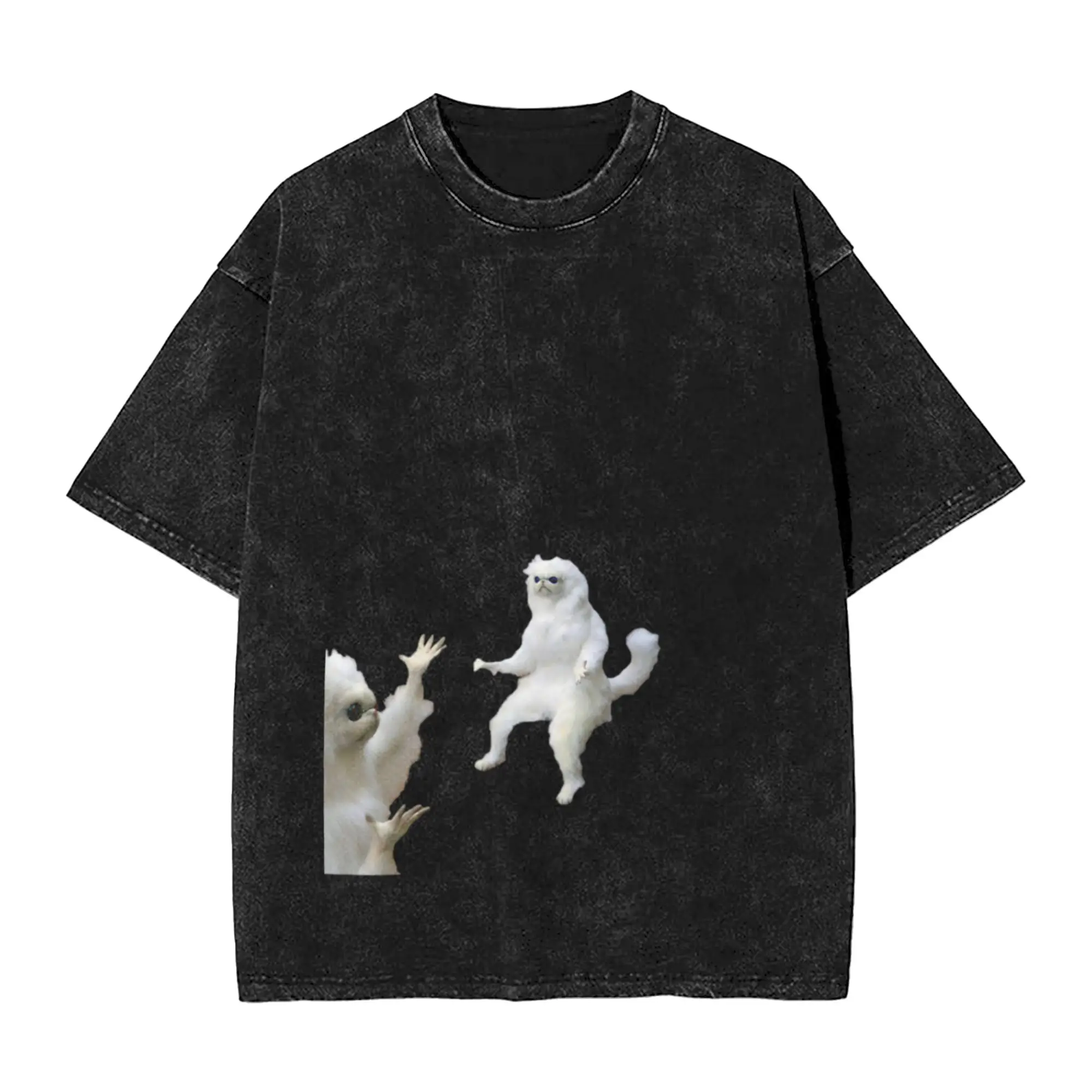 persian cat meme Classic Trendy A Vintage Oversized Cotton Unisex T-Shirts
