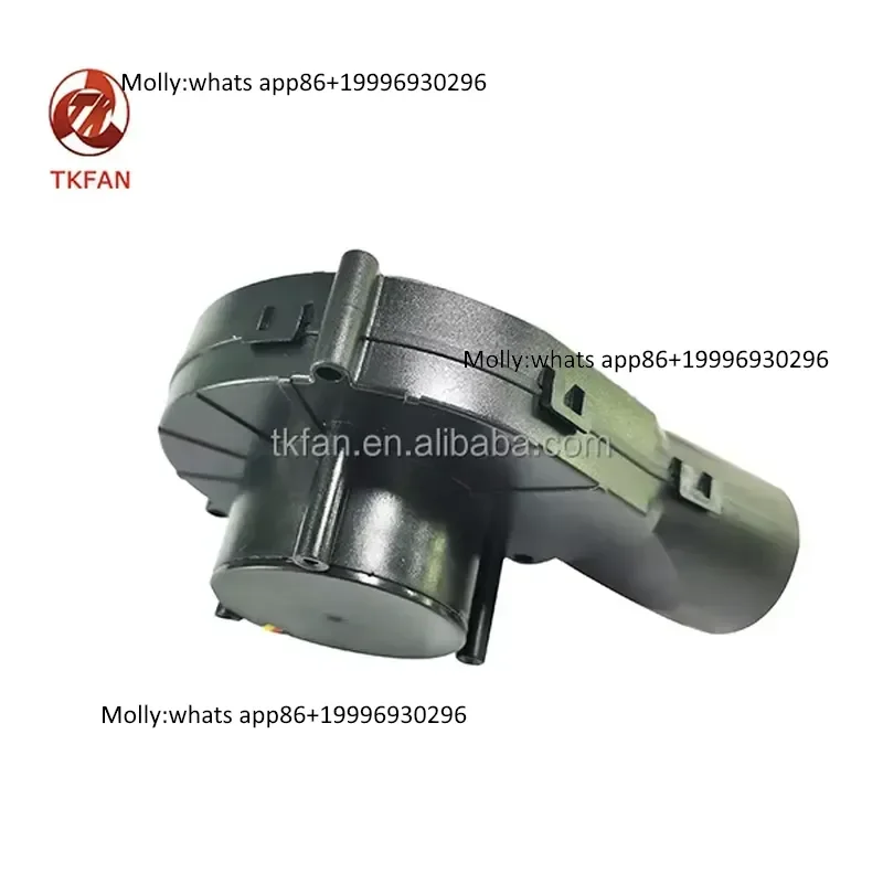 Kipas Blower DC Tanpa Sikat 12V 24V Tahan Air Turbo 9725 97X25MM dengan Baling-Baling Plastik Bertekanan Tinggi