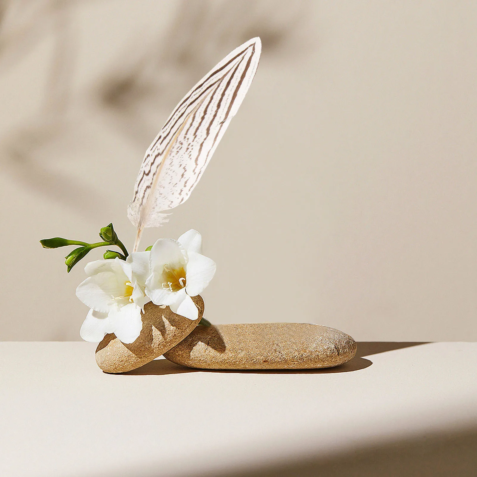 

10Pcs Natural Plumes Natural Crafts Wedding Party Decorations DIY Dream Catcher Supplies Vase Floral