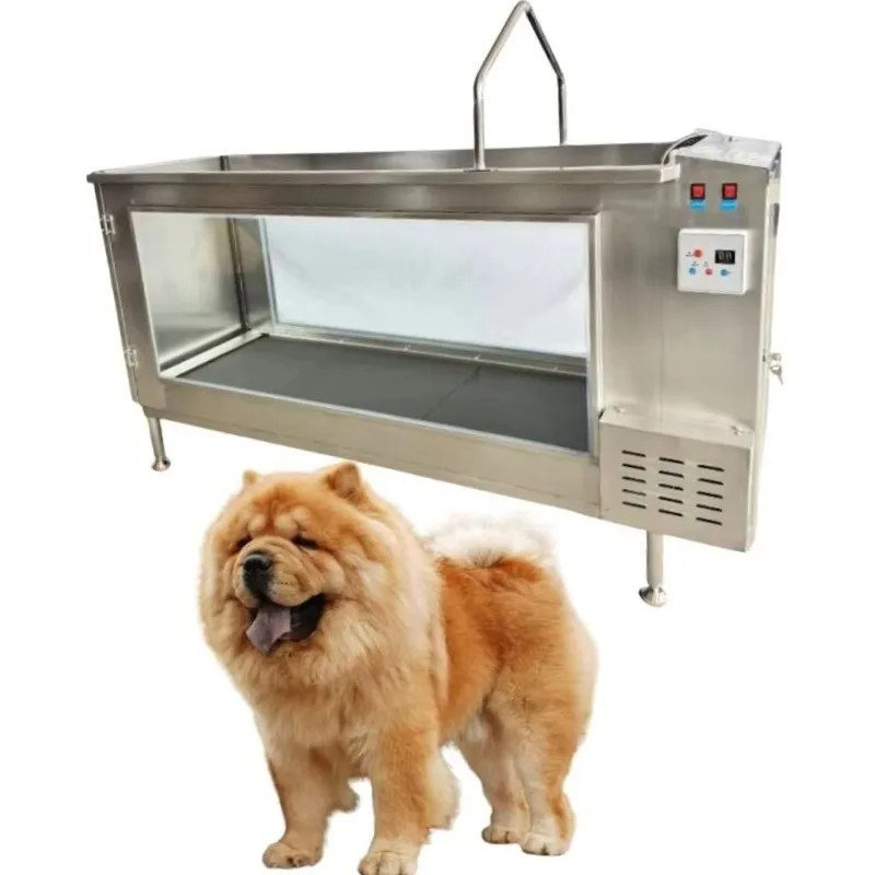2026 Stainless Steel Veterinary Hydrotherapy Treadmill for Pet Dogs Hydro Training Water Vet Medical Instrument