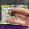 SMALL BROWM