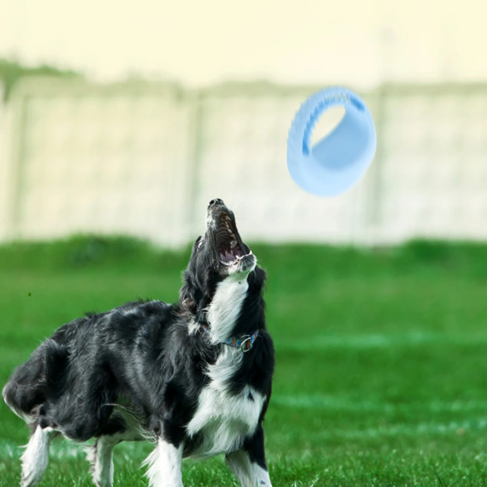 

Lovely Portable Chewing Wear Resistant Puppy Molar Teeth Cleaning Dog Chew Interactive Compact Durable Playtime Stress