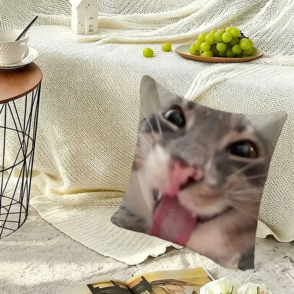 Funny cat memes Soft Pillow Shell For Sofa Living Space Bedroom Headboard Backrest Square Cushion Cozy