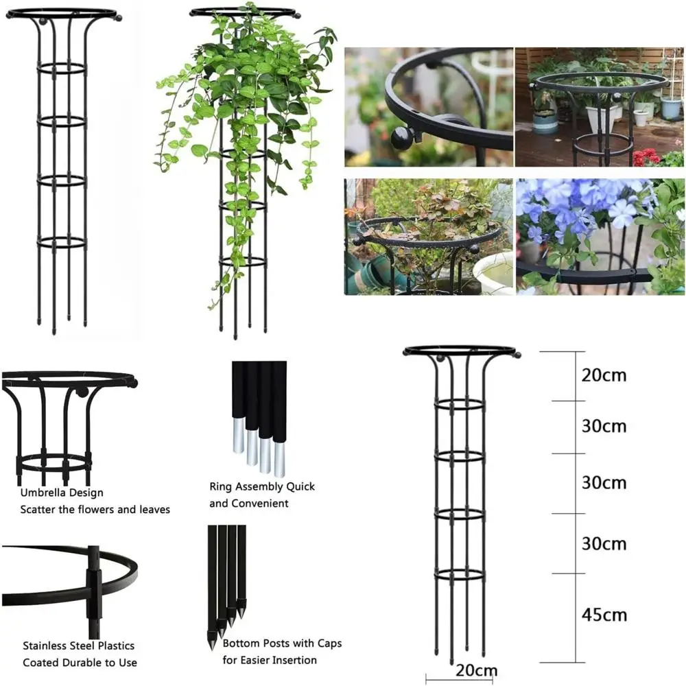 

Решетка для уличного сада для вьющихся растений: поддерживающая структура для роз, клематиса и грибных роз