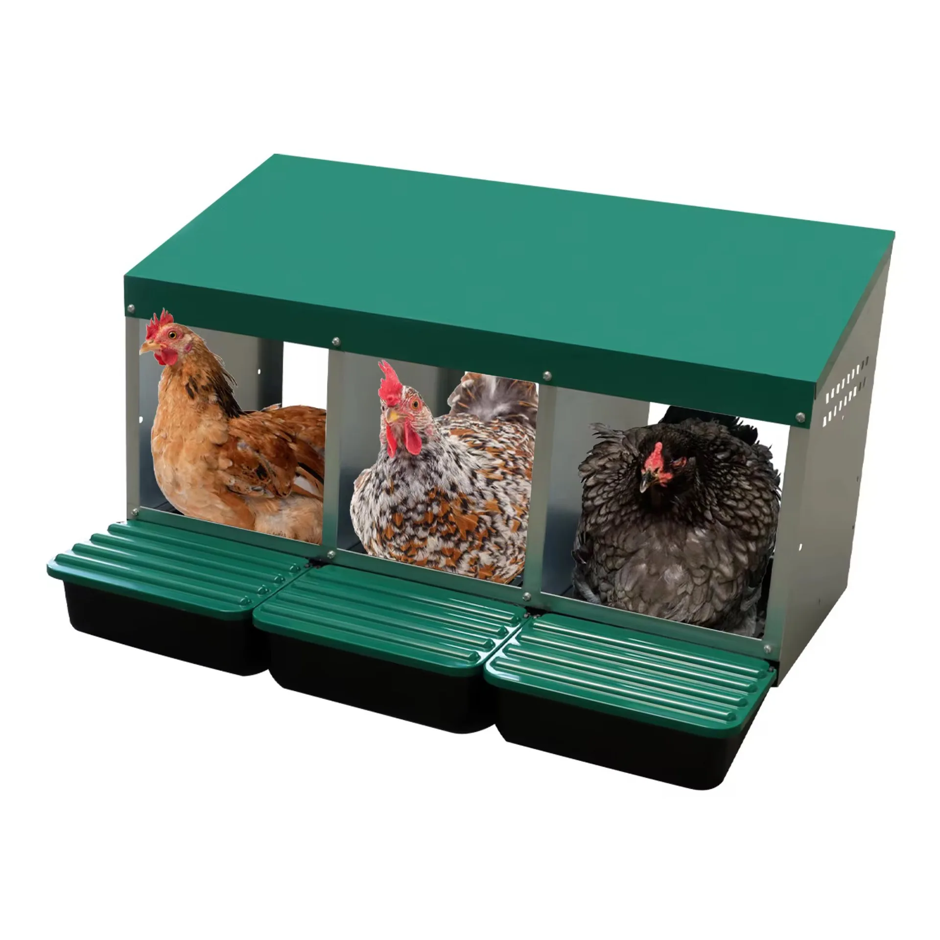 

3-Hole household egg box Hot-selling metal egg box Chicken nest box