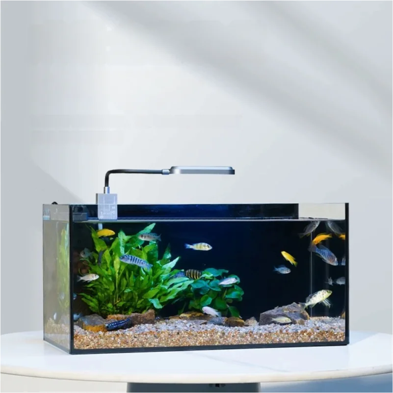 ensemble-complet-d'aquarium-pour-salon-avec-filtre-et-eclairage-pour-la-peche