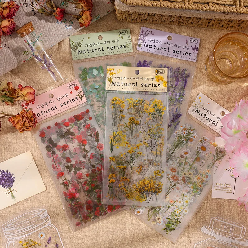 6PCS Natural Series Transparent PET Stickers Scrapbooking Material DIY Junk Journal Collage Floral Leaves Plant Decor Sticker