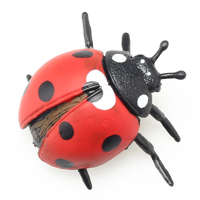 Simulazione animale insetto coccinella modello cognitivo artigianato in plastica miniature strumento didattico decorazione della casa BabyToy regalo