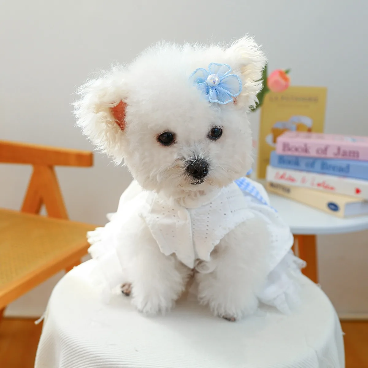 

Teddy Wedding Dress Spring Summer Princess Sea Salt Puffy Puppy Breathable Dress Maltese Sunflower Dresses