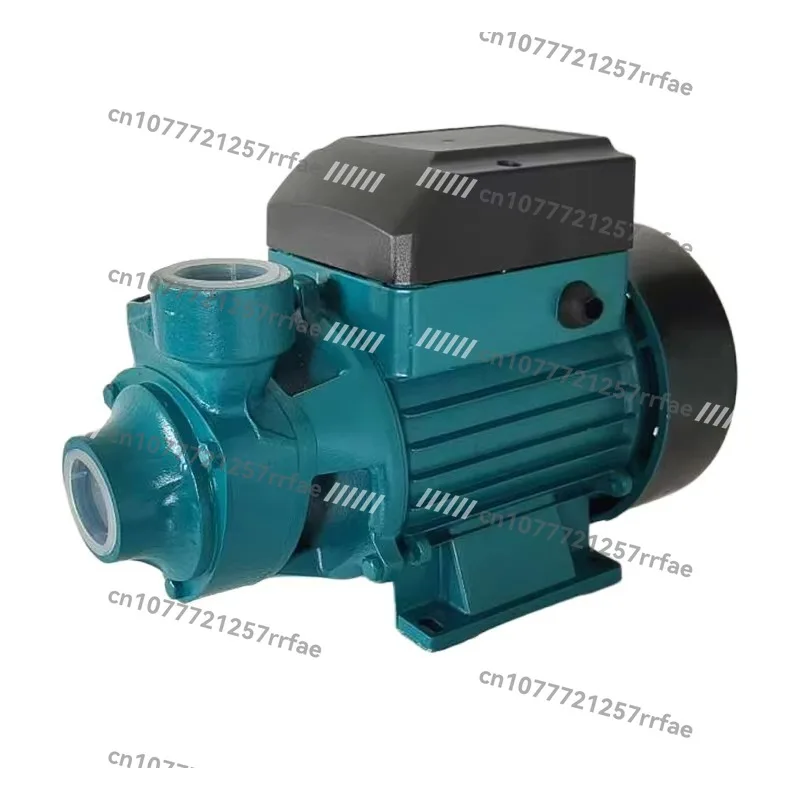 QB60 single stage vortex pump household booster pump low pressure can be customized clean cast iron brass 0.37kw 220V