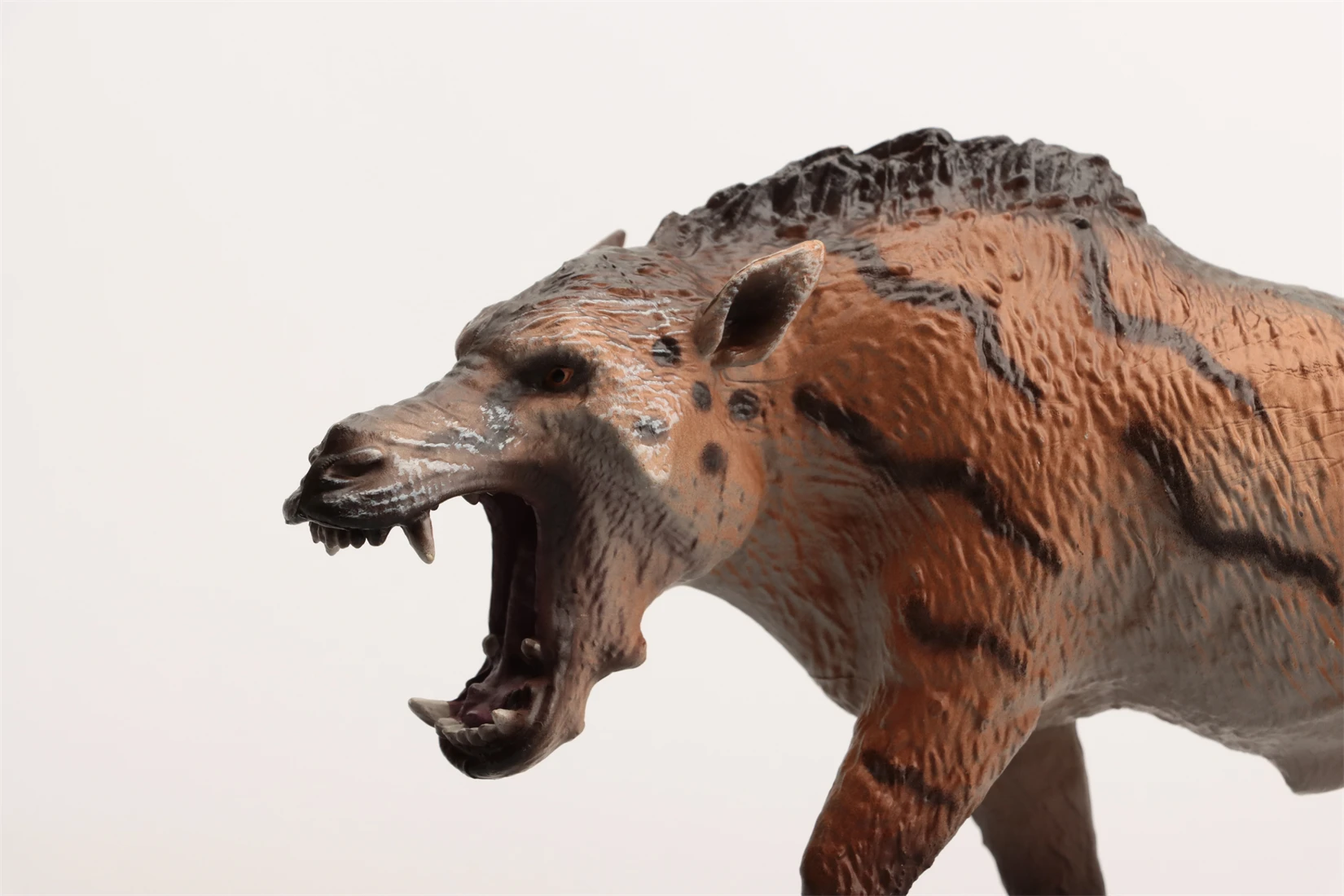 Estudio de historia de la tierra, modelo Daeodon, figura de Animal prehistórico, colección Entelodontidae, decoración de escena, juguete de regalo de cumpleaños