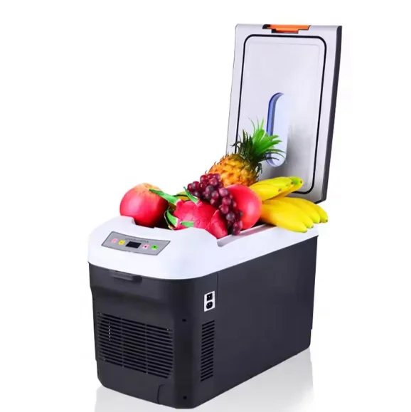 22L Car Refrigerator Cooler Warmer Electric Car Fridge Portable Compact Camping Cooler Thermoelectric Small Fridge