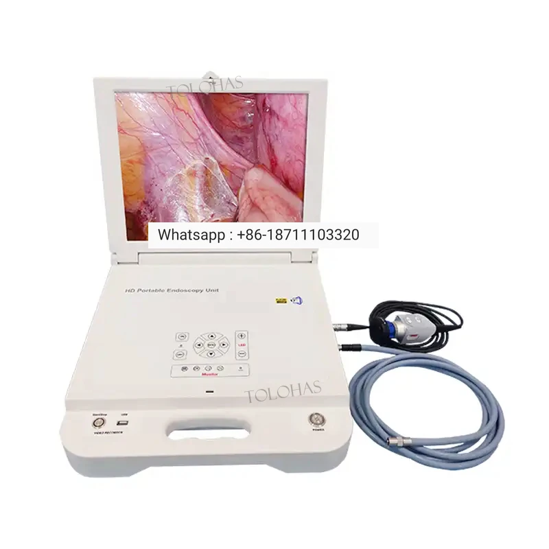 

LHGW612 Portable Monitor with LED Earlight CCD Medical EndoscopePortable Endoscopic Camera