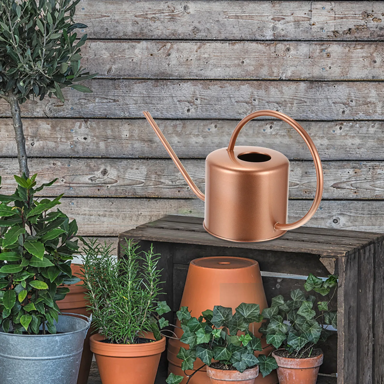 

Long Spout Watering Can Stainless Steel Heavy Duty Hydration Tool for Garden Flower Tree Water Distribution Simple