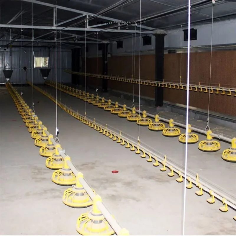 Small Scale Broiler Breeder Egg Layer Chicken Poultry Husbandry Floor Cage Coop Shed Henhouse Farming Raising Machinery Plant