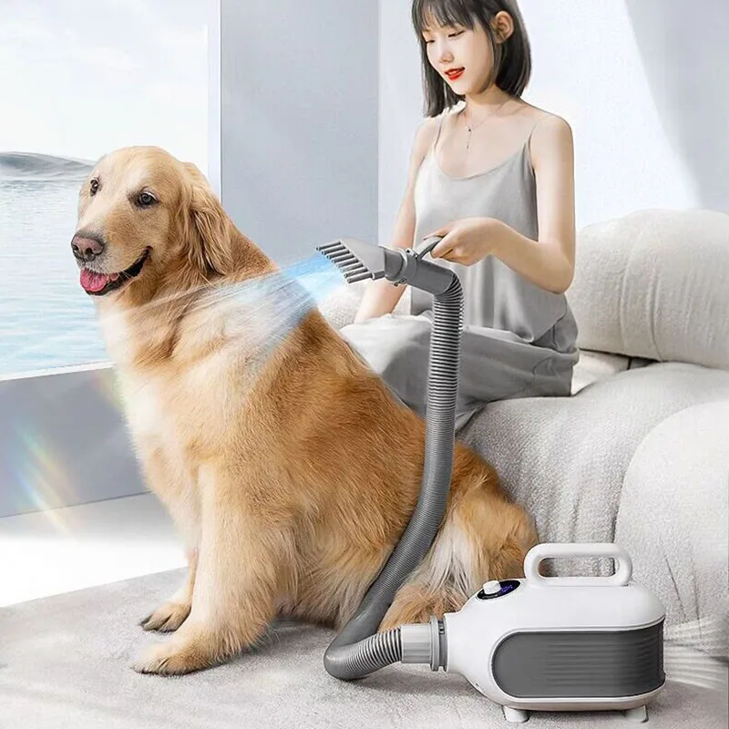 Good Price NEW Dog hair dryer 2000W pet dog cat beauty hair dryer warm air fast hair dryer small medium and large dog hai