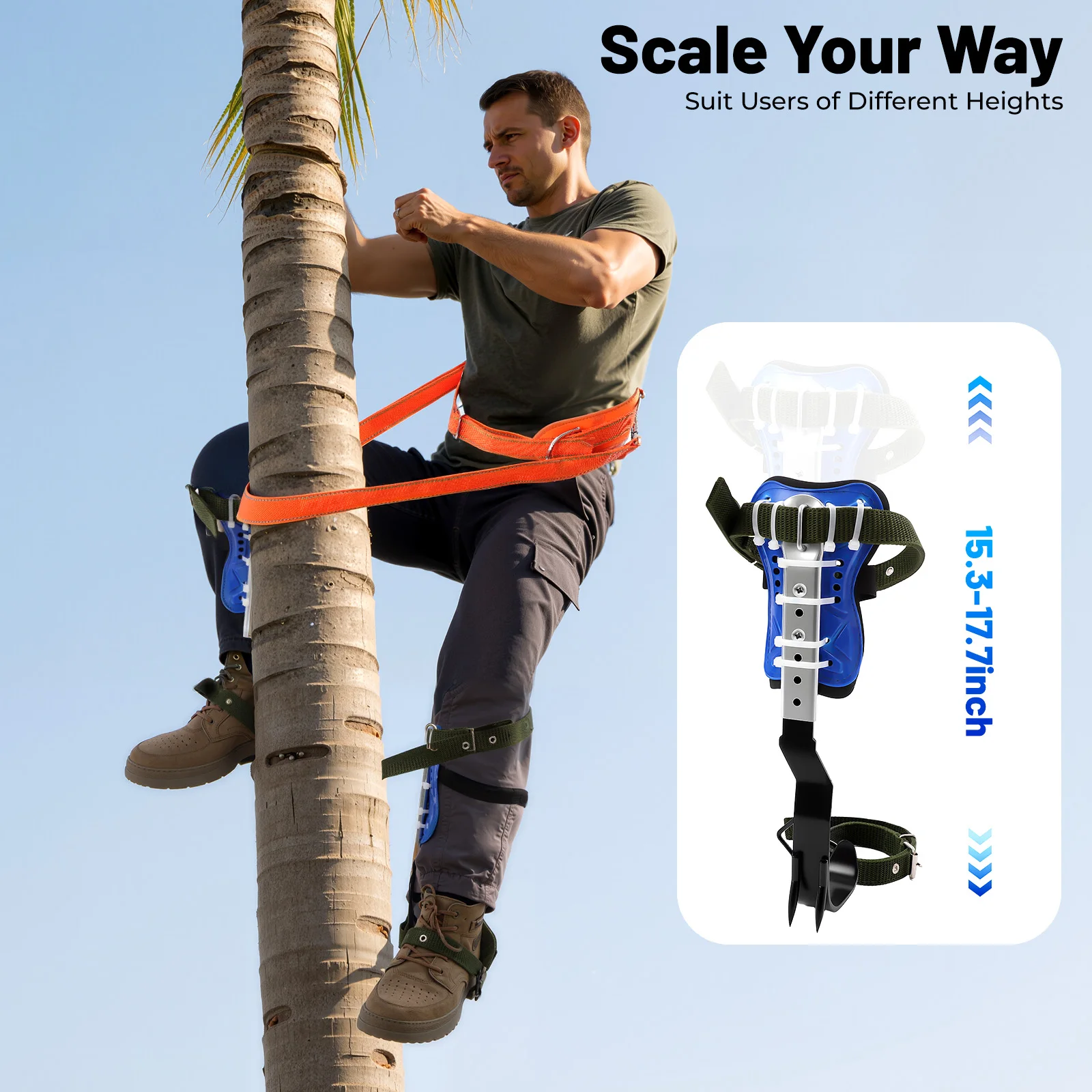 Ensemble de pointes d'escalade d'arbre réglable, kit d'équipement d'escalade d'arbre, charge de 150 kg avec sangles multifonctionnelles supplémentaires, ceinture de sécurité, corde de sécurité