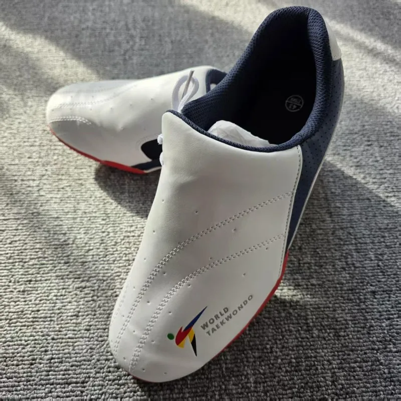 2026   Martial Arts Shoes Men Soft Sole Tai Chi Shoes Mens Comfortable Kungfu Shoe Man White Taekwondo Shoes for Men