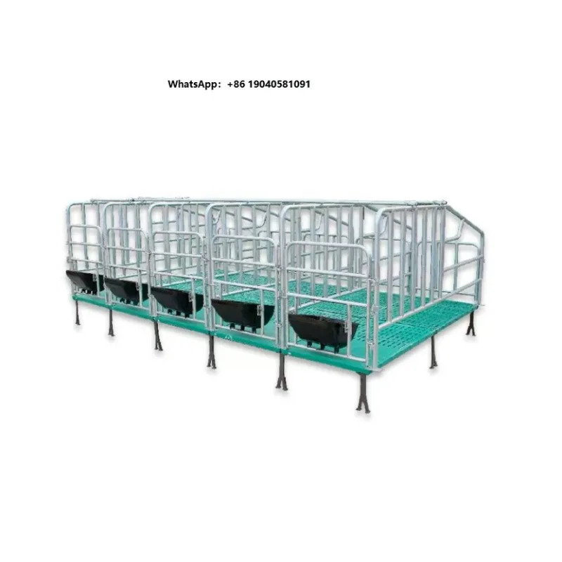 Durable Hot-Dip Galvanized Sow Gestation Pen High Quality Animal Cage