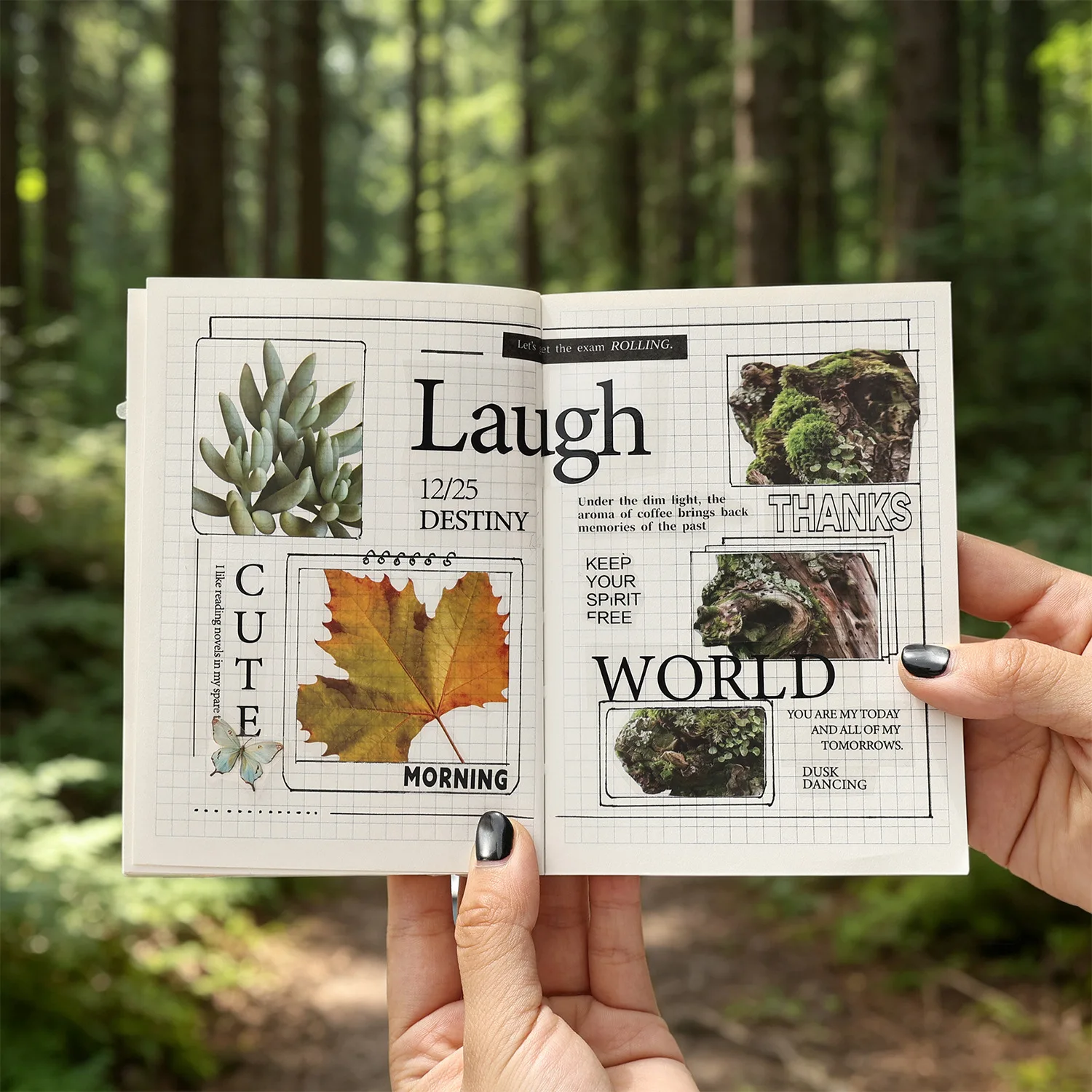 10Pcs Natural Plant PET Stickers Retro Botanical Leaf Moss Succulent Stickers Decal Junk Journal Aesthetic Scrapbooking Supplies