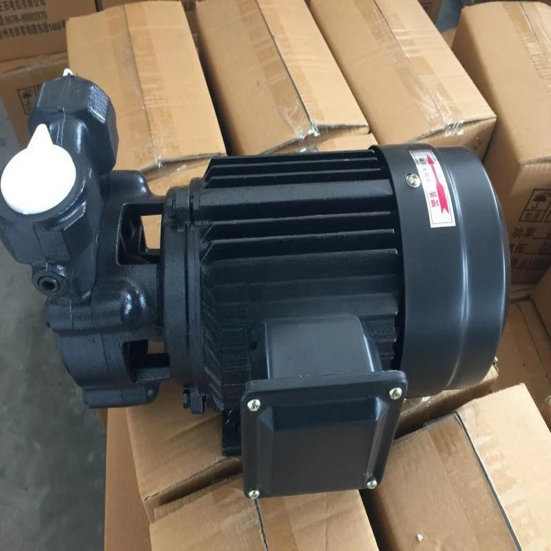 Pompa pusaran boiler Pompa air 1100W port 1 inci