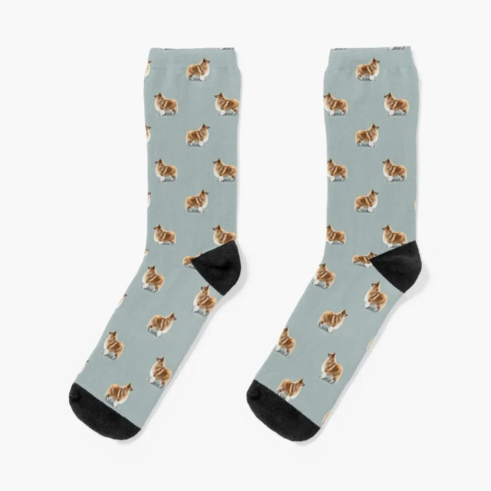 

The Shetland Sheepdog Socks sports stockings professional running Designer Man Socks Women's