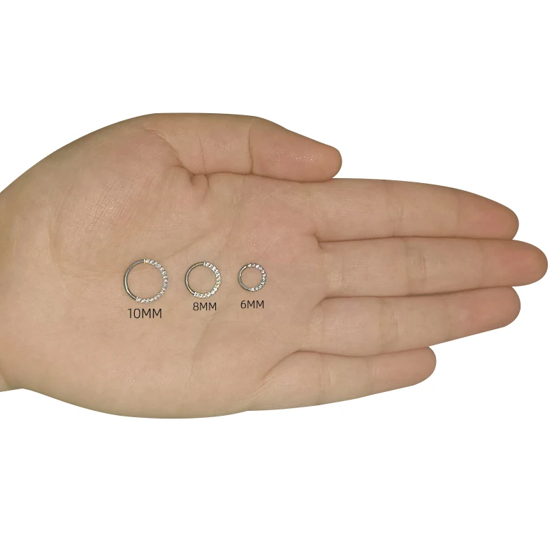 G23 Titanium Hinged Segment Hoop Nose Ring Earring