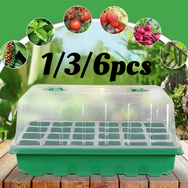 1/3/6pcs Seedling Tray Kit - 24 Cell Greenhouse Starter with Humidity Dome & Base, Green Plastic Propagation Trays