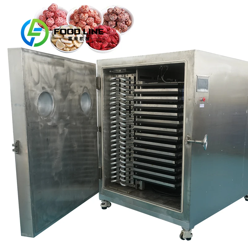 Large Capacity Vacuum Lyophilizer Freeze Drying Machinery Factory Price for Industrial Food Processing
