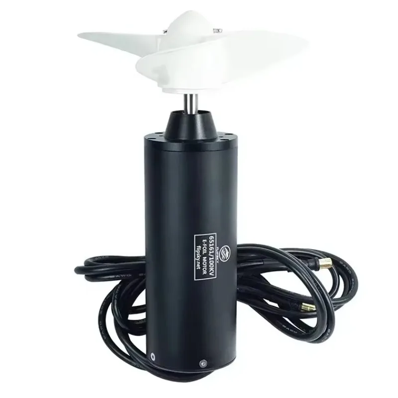 SmCpFlipSky 65161 IP68 6KW Sensorless Amphibious Brushless Motor