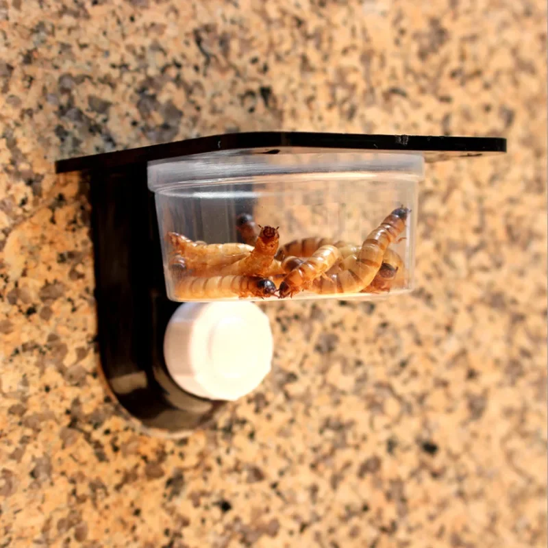 Reptilien Tank Zubehör Insekt Spinne Ameisen Nest Schlange Gecko Lebensmittel Wasser Fütterung Schüssel Terrarium Zucht Feeder Box Haustiere Supplie – Detail 7