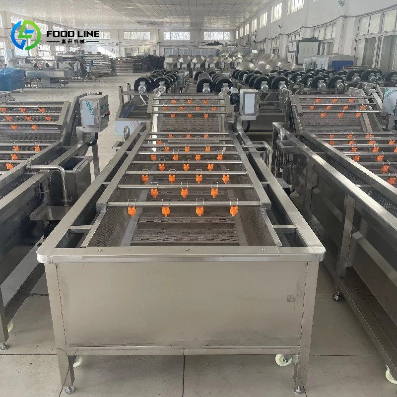 Multifunctional Large Scale 220v/380v Fruit Vegetable Corn Washing Machine with Motor for Salad Processing Plants Customized