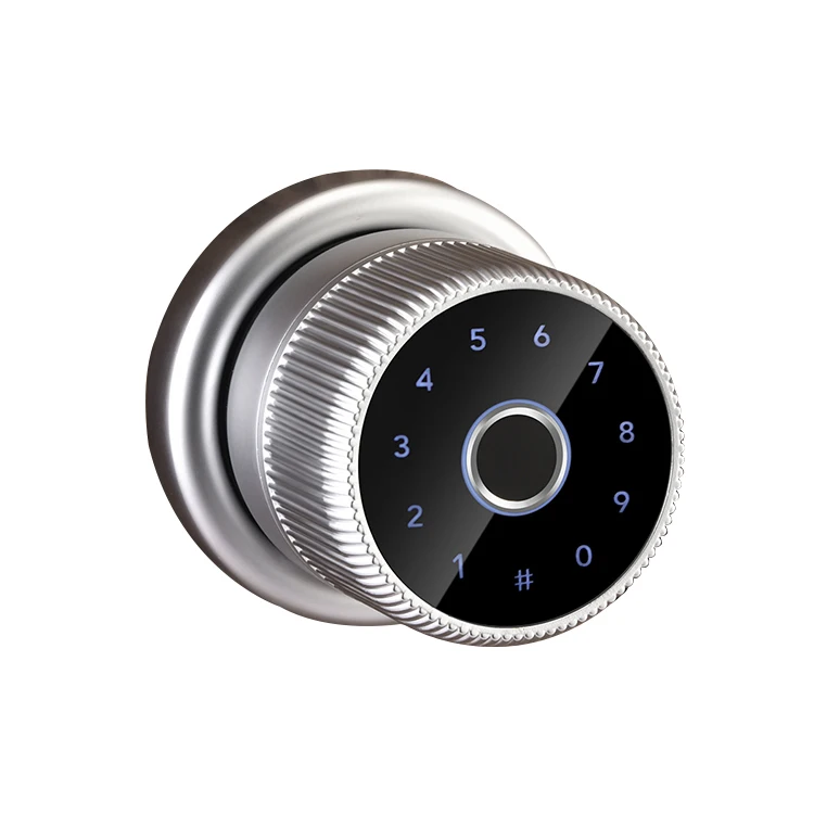 High Security Performance Stable Aluminum Smart Door Lock with Fingerprint Recognition Smart Design
